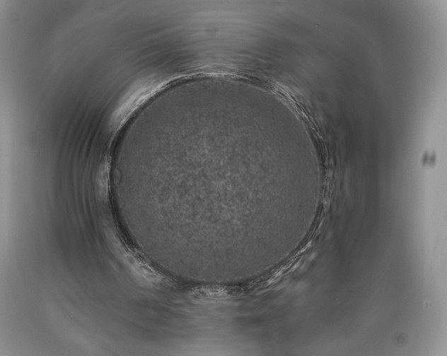 X0000090440194200707201300