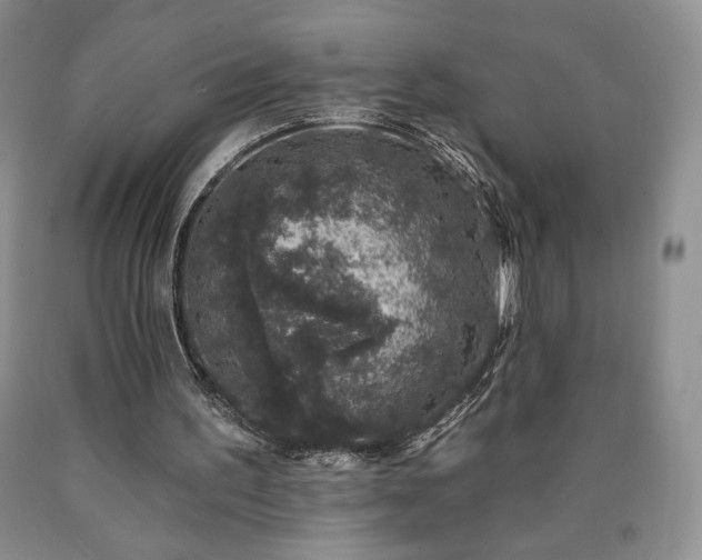 X0000090440195200707201300