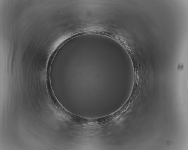 X0000090440196200707201300