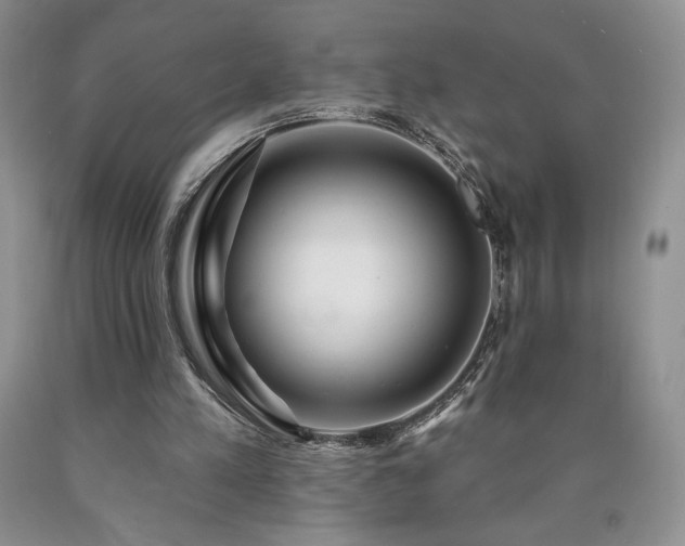 X0000090440197200707201300