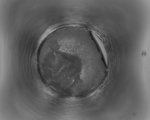 X0000090440198200707201300