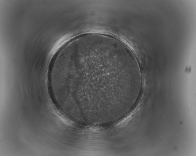 X0000090440199200707201300