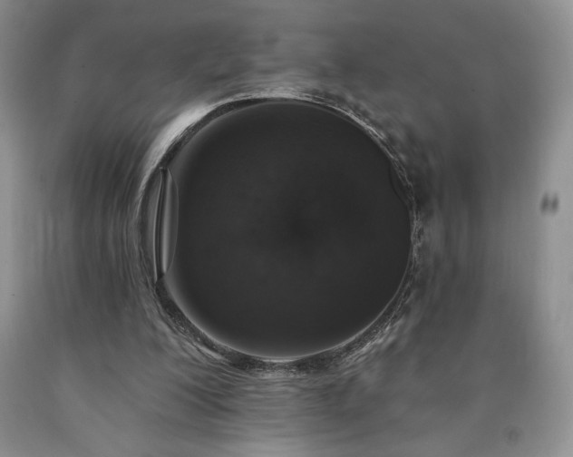 X0000090440200200707201300