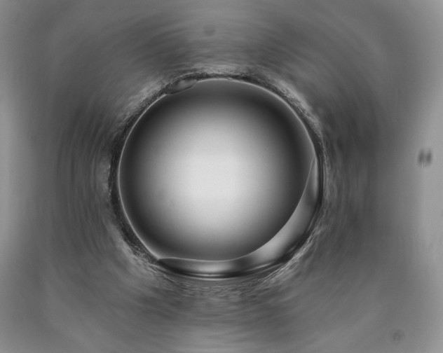 X0000090440201200707201300