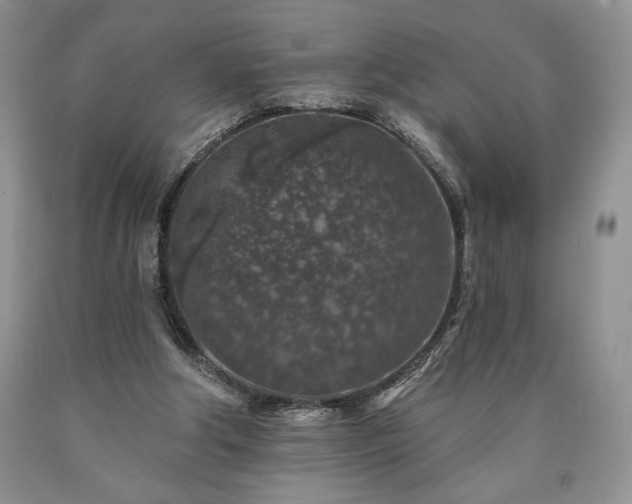 X0000090440202200707201300