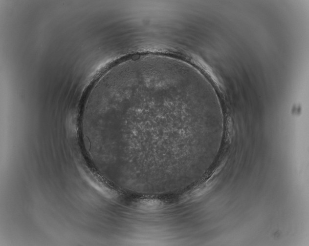 X0000090440203200707201300