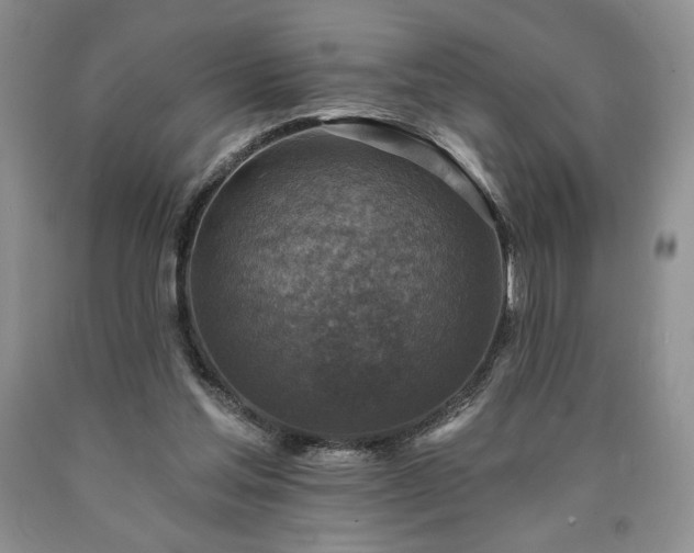 X0000090440205200707201300