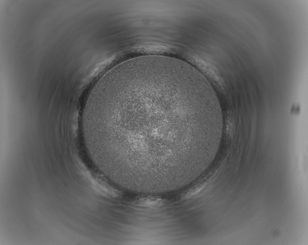 X0000090440206200707201300