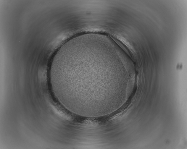 X0000090440207200707201300