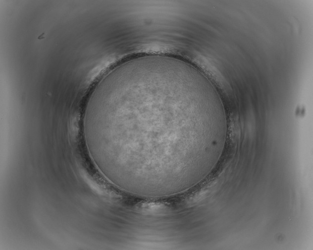 X0000090440208200707201300