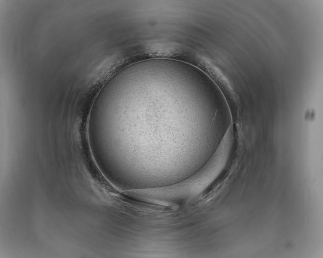 X0000090440209200707201300