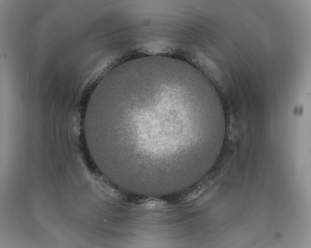 X0000090440210200707201300