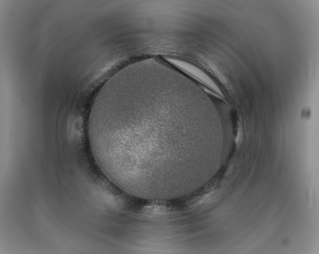 X0000090440211200707201300