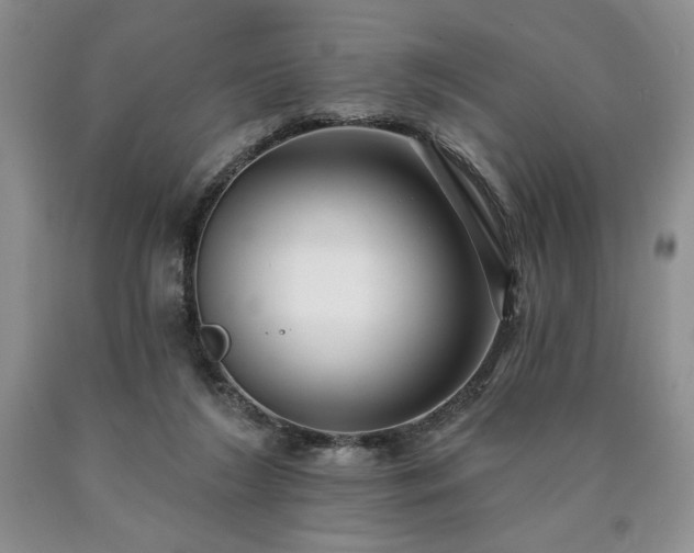 X0000090440212200707201300