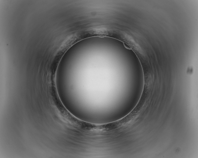 X0000090440213200707201300