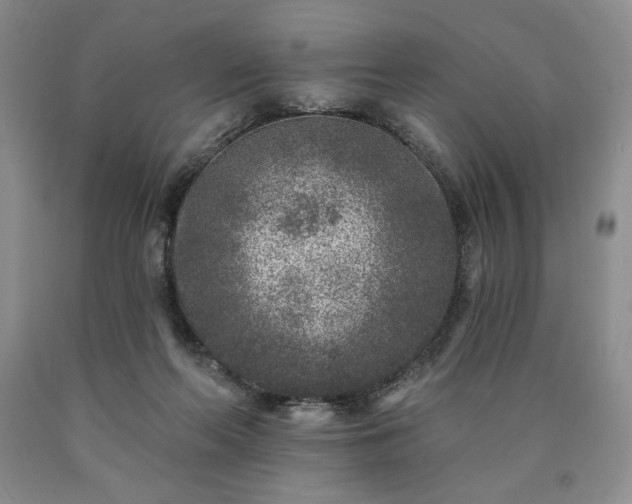 X0000090440214200707201300