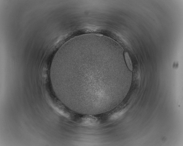 X0000090440215200707201300