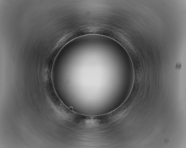 X0000090440216200707201300