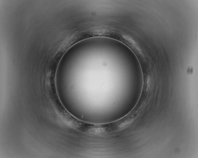 X0000090440217200707201300