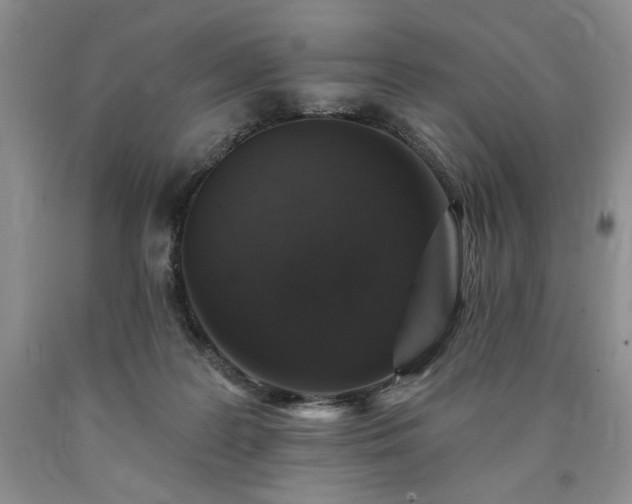 X0000090440219200707201300