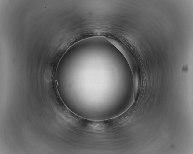 X0000090440221200707201300