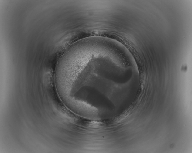 X0000090440222200707201300