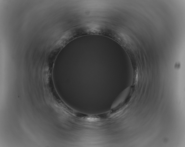 X0000090440223200707201300