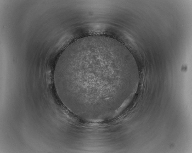 X0000090440224200707201300