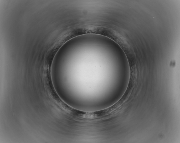 X0000090440225200707201300