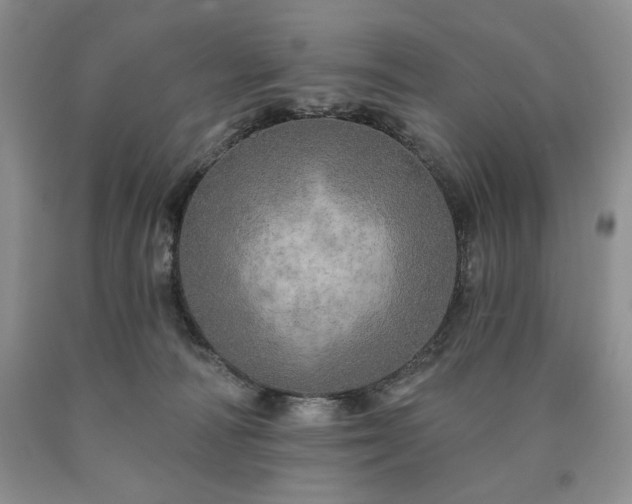 X0000090440226200707201300