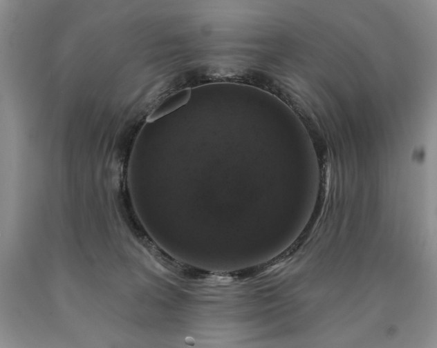 X0000090440227200707201300