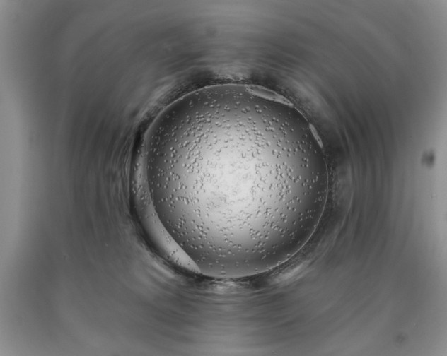 X0000090440229200707201300