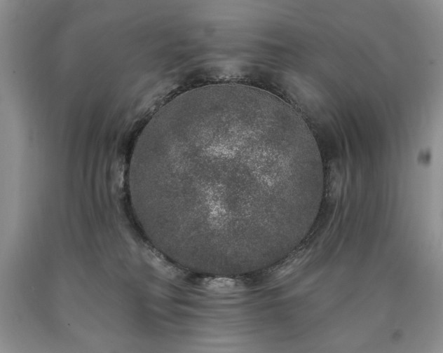 X0000090440230200707201300