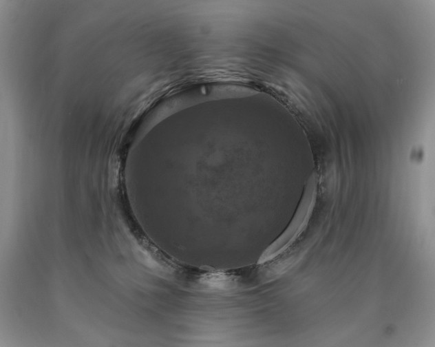 X0000090440231200707201300