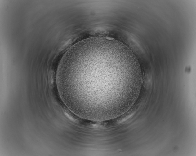 X0000090440232200707201300