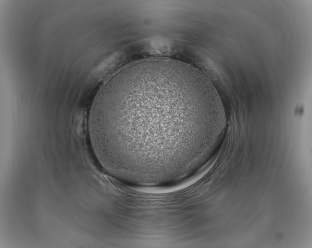 X0000090440233200707201300