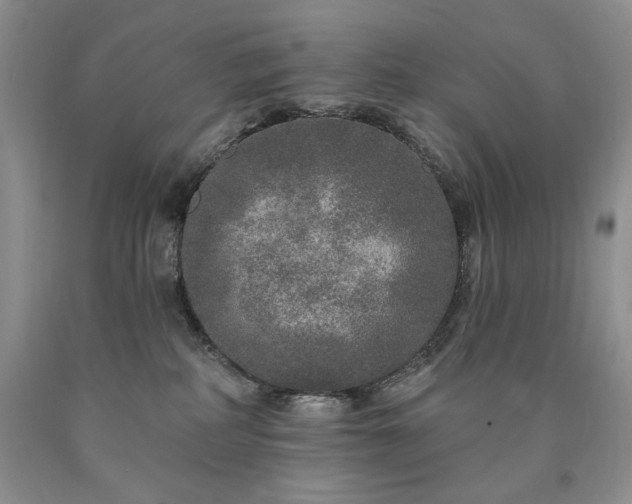 X0000090440234200707201300