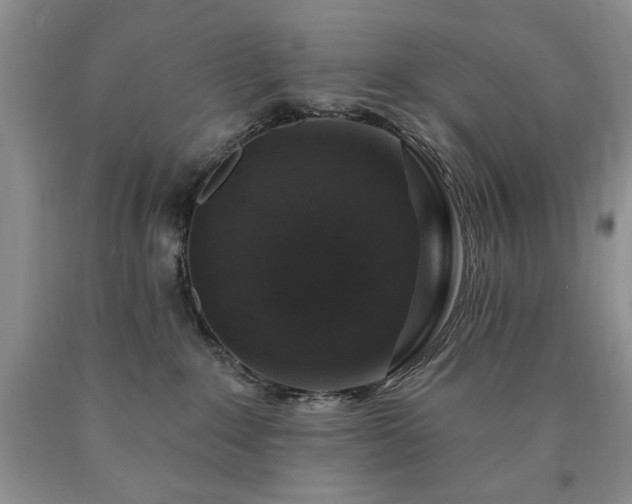 X0000090440235200707201300