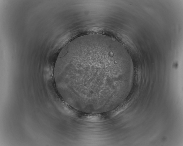 X0000090440236200707201259