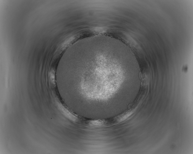 X0000090440238200707201259