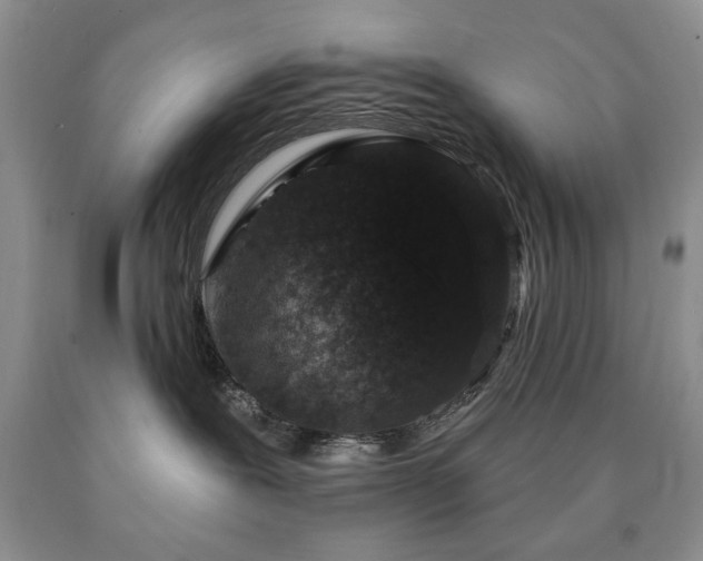 X0000090440239200707201259