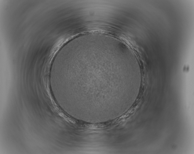 X0000090440241200707201259