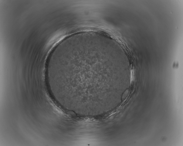 X0000090440243200707201259