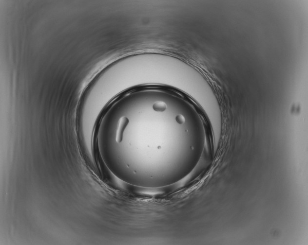 X0000090440244200707201259