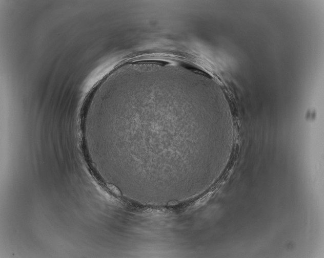 X0000090440245200707201259