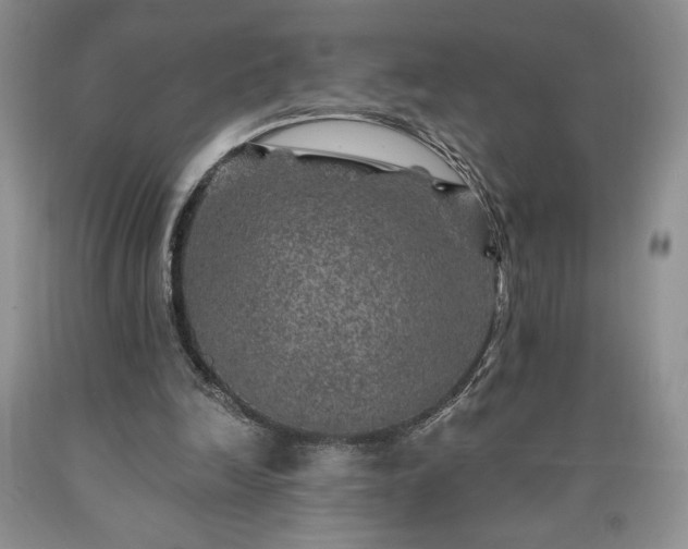 X0000090440246200707201259