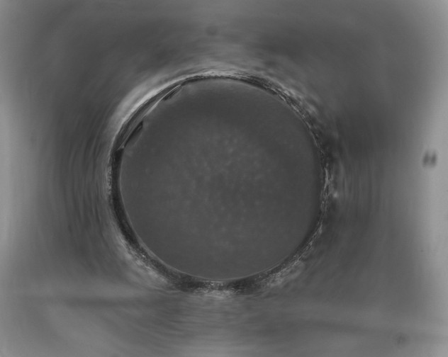 X0000090440247200707201259