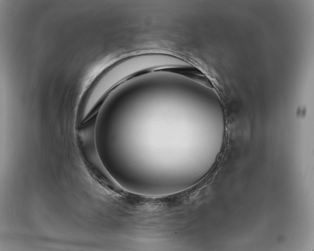 X0000090440248200707201259