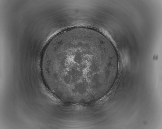 X0000090440249200707201259