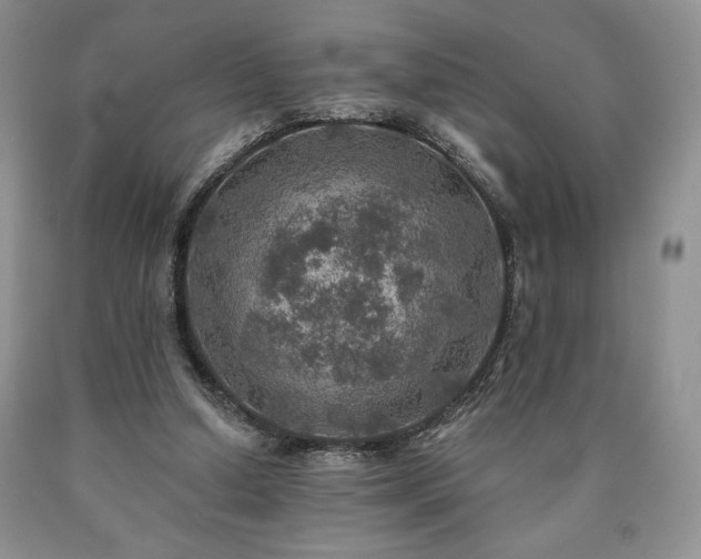 X0000090440250200707201259